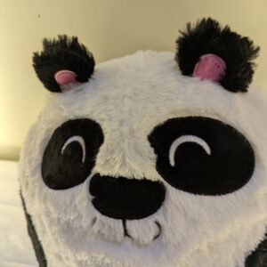 Chubby Panda Stuffed Animal | Gifting Soft Toy