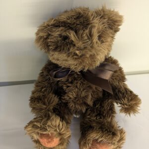 Viral Chocolate Brown Teddy Bear with Premium Curly Fur Brown Bear
