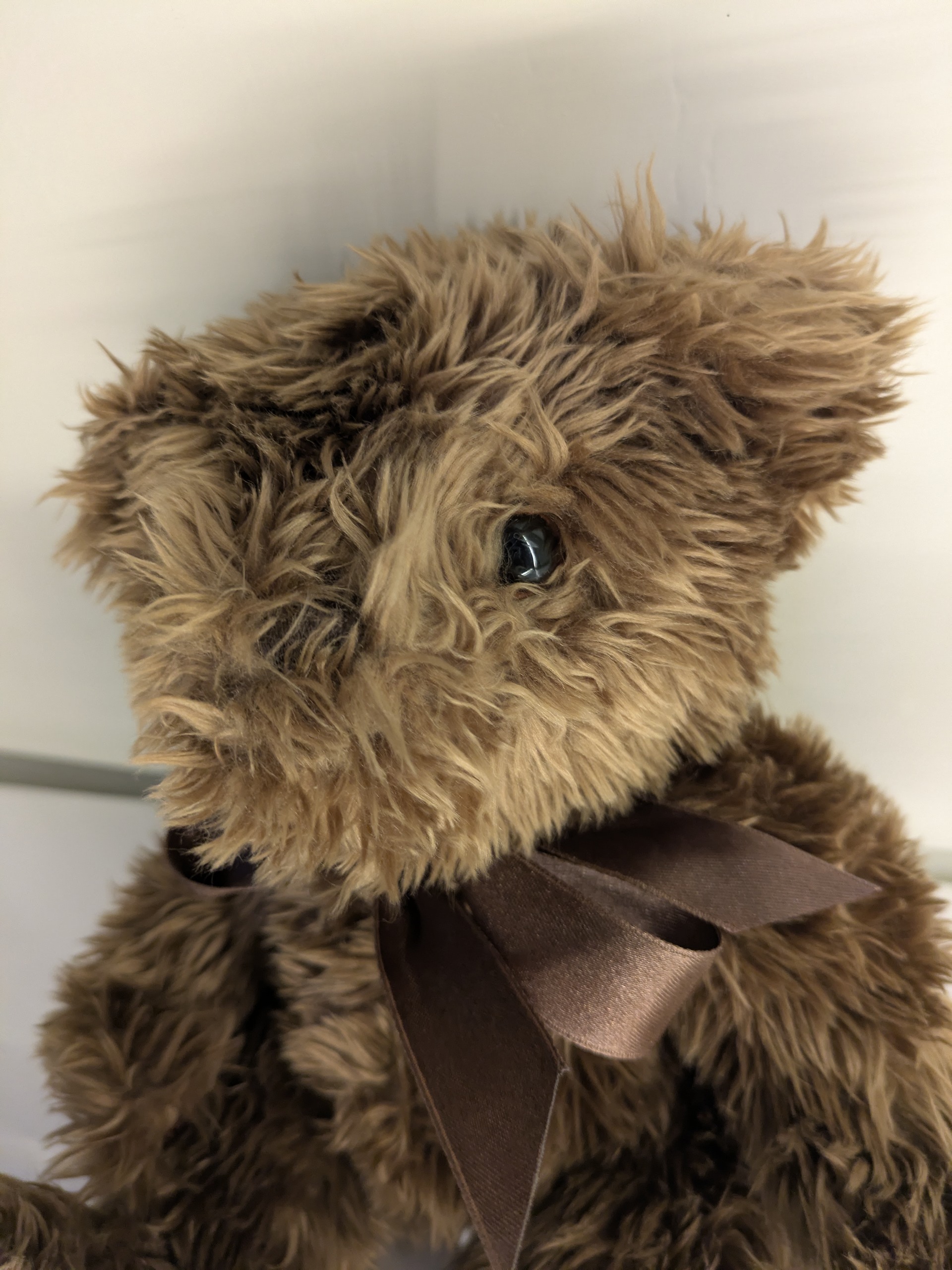 Viral Chocolate Brown Teddy Bear with Premium Curly Fur Brown Bear - Image 3