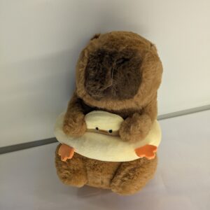 Viral Capybara Plush with Duck Swim Ring – Aesthetic Kawaii Stuffed Animal