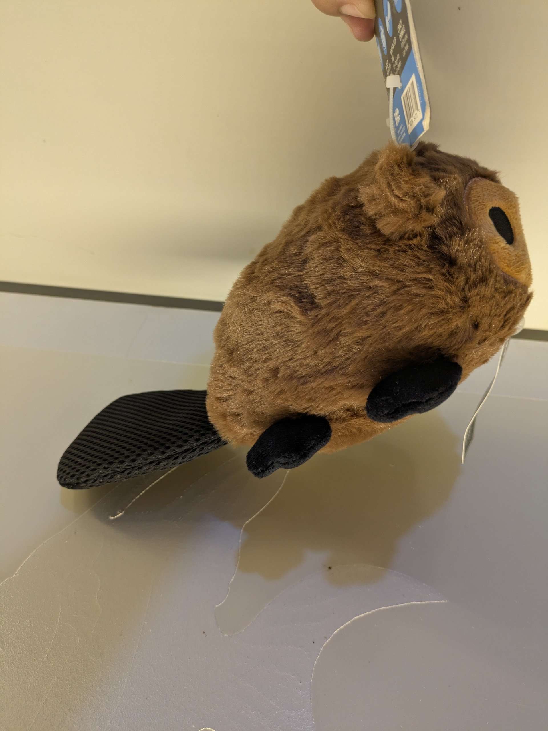 BARK Plush Beaver Squeaky Dog Toy – Super Soft & Interactive - Image 4