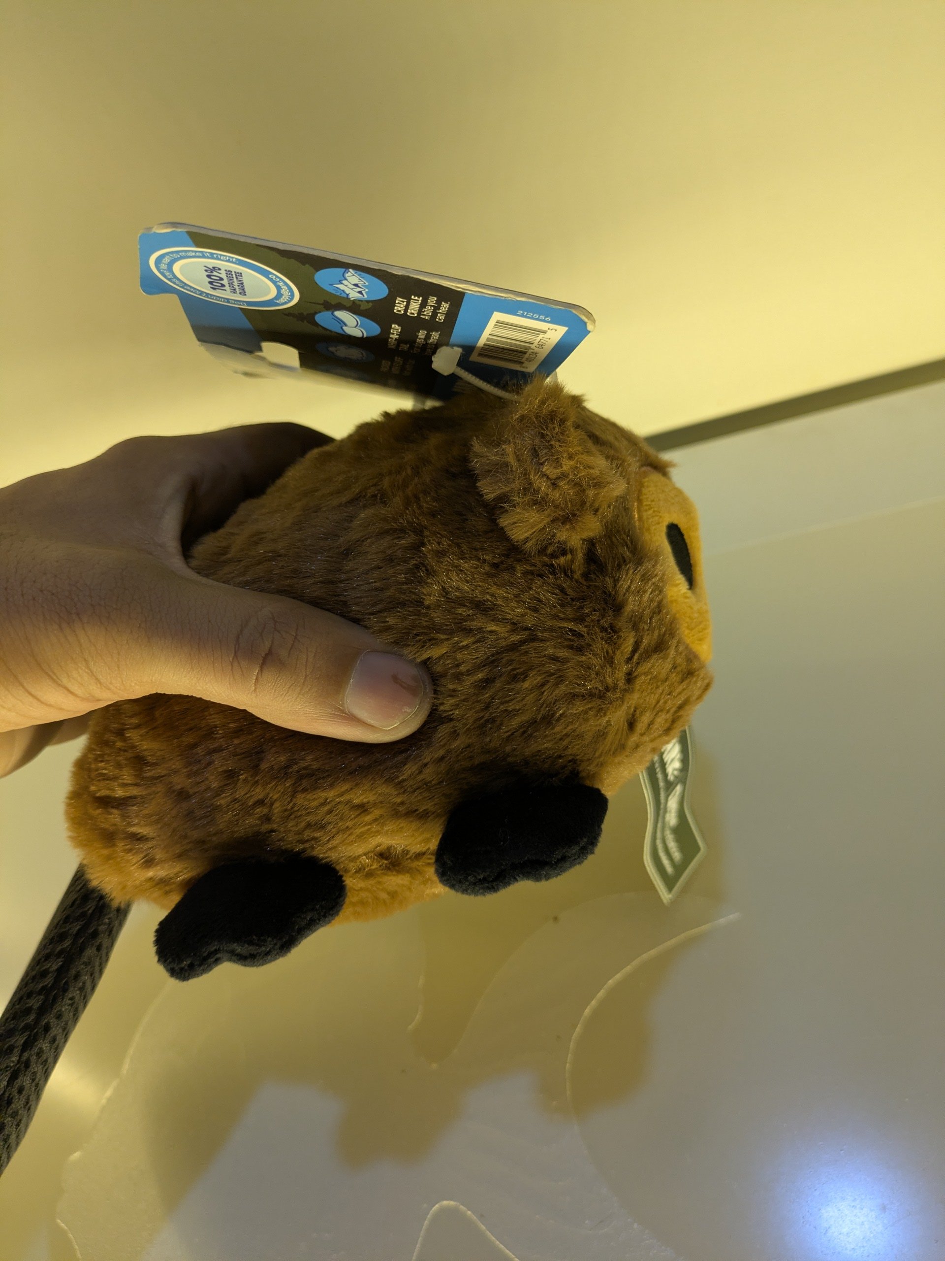 BARK Plush Beaver Squeaky Dog Toy – Super Soft & Interactive - Image 9